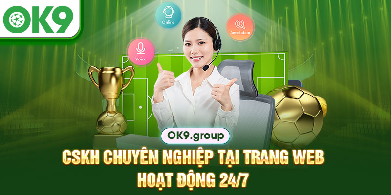 CSKH chuyên nghiệp tại trang web - hoạt động 24/7