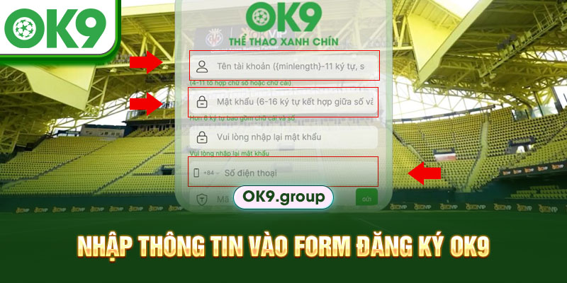 Nhập thông tin vào form đăng ký OK9