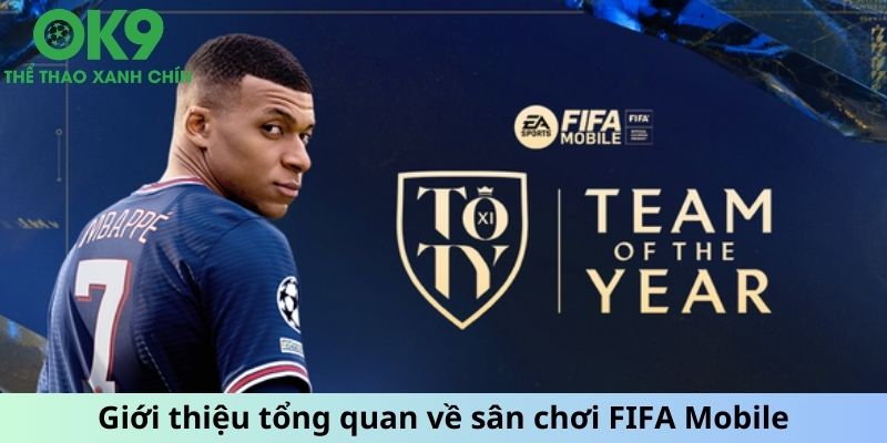 Giới thiệu tổng quan về sân chơi FIFA Mobile trực tuyến