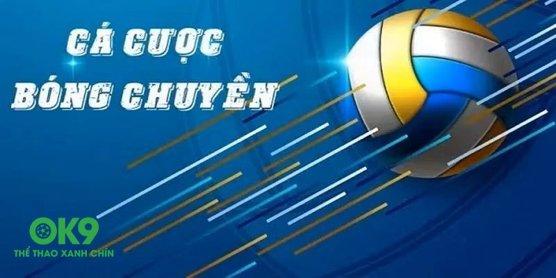 Những thông tin mới nhất về cá cược bóng chuyền tại OK9