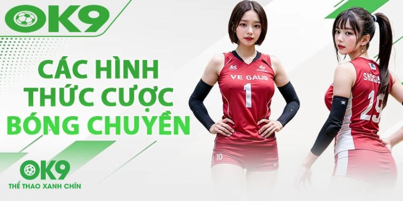 Một vài hình thức cá cược bóng chuyền tại trang web OK9
