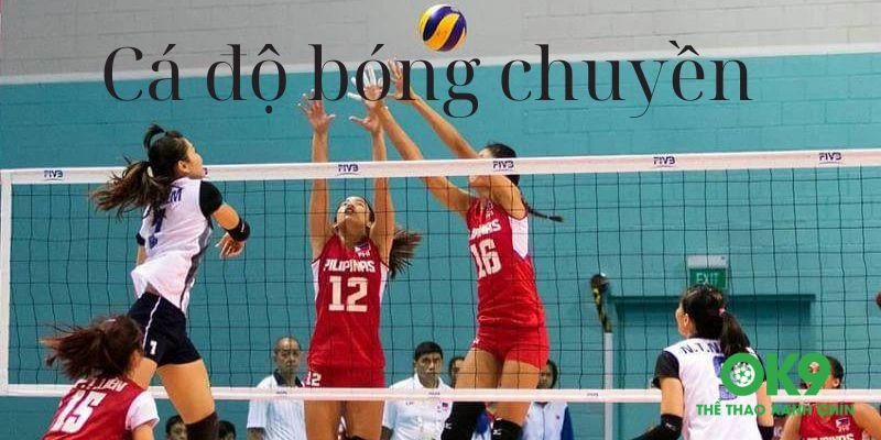 Những mẹo chơi cá độ bóng chuyền cực hay từ anh em lão làng